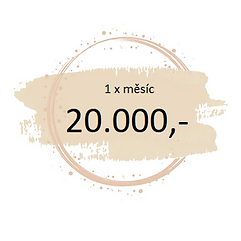 20000 Kč